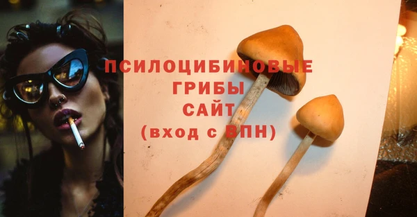 прущая мука Гусев