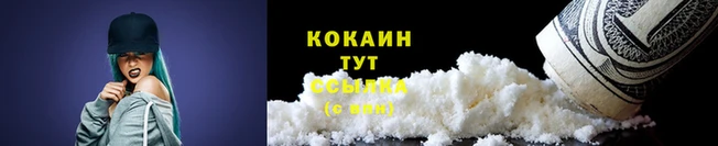 СК Горно-Алтайск