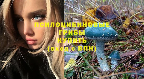 прущая мука Гусев