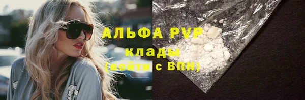 СК Горно-Алтайск