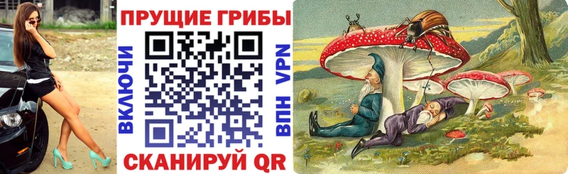 Псилоцибиновые грибы Cubensis KRAKEN онион Иваново где продают